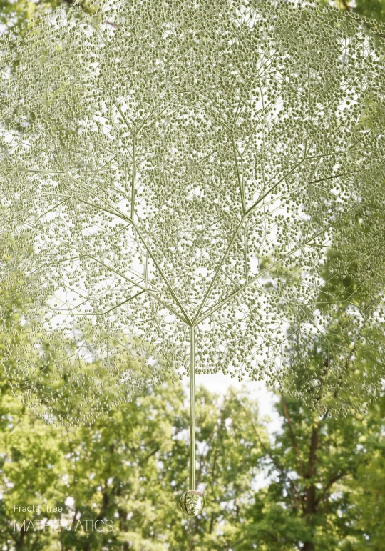 Fractal tree poster